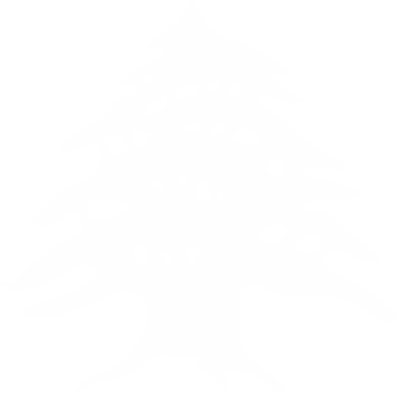 البرجين والمريجات logo