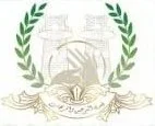 البرجين والمريجات logo